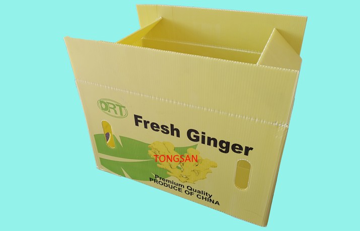 PP Corrugated Box