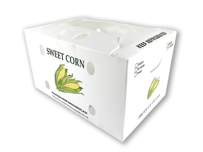 pp corrugated box